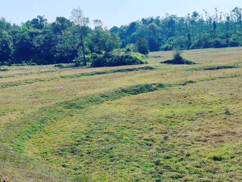 5+ acre farm Land for sale in Mudigere