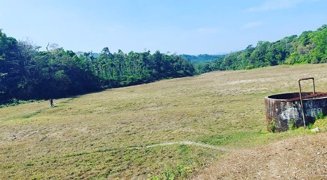 15 acre agriculture land for sale in Mudigere