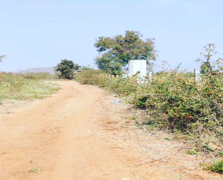 2.30 acre land for sale in Kadur road - Chikkamgaluru