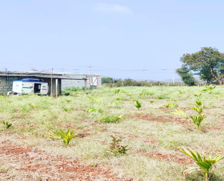 2.30 acre land for sale in Kadur road - Chikkamgaluru