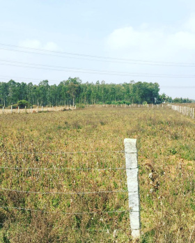 28 guntas Paper + 12 guntas Karab (Total 1 acre in possession) land for sale in Doddballapura