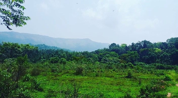 10 acre land for sale in Mallandur area  Chikkamagaluru