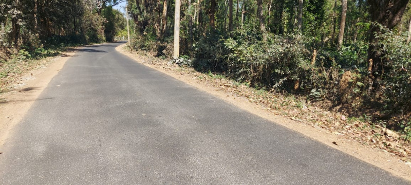 2 acre coffee plantation for sale in Belur