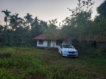 11 acre land for sale in Sringeri Hornadu road