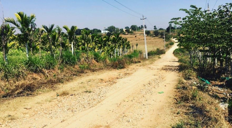 4 acres Developed farm land for Sale in Doddballapura
