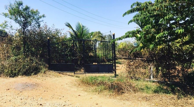 4 acres Developed farm land for Sale in Doddballapura