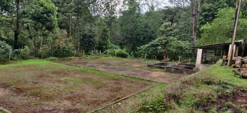 87 acre coffee estate for sale in Chikkamgaluru
