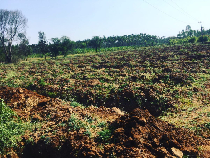 3 acres 20 Guntas Farm Land for Sale in Doddballapura