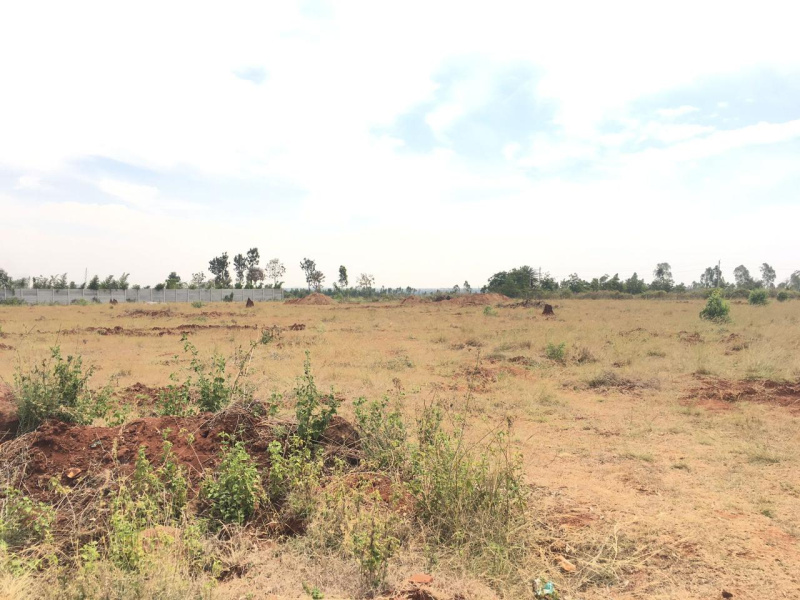 7 Acres 10 Guntas Farm land for Sale in Doddballapura