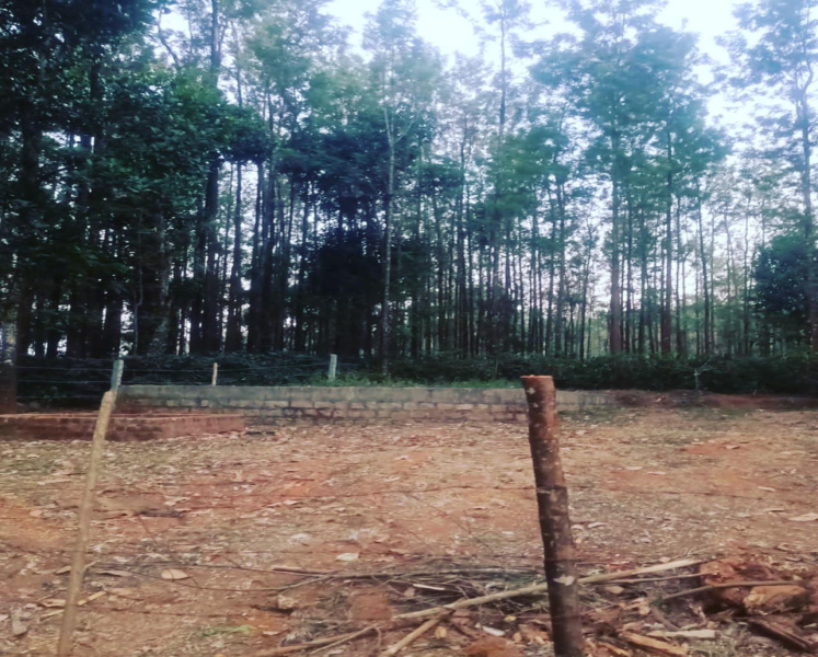 10 Gunta land for sale in Chikkamgaluru