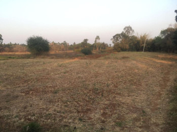 1.23 Acre Agricultural/Farm Land for Sale in Doddaballapur, Bangalore