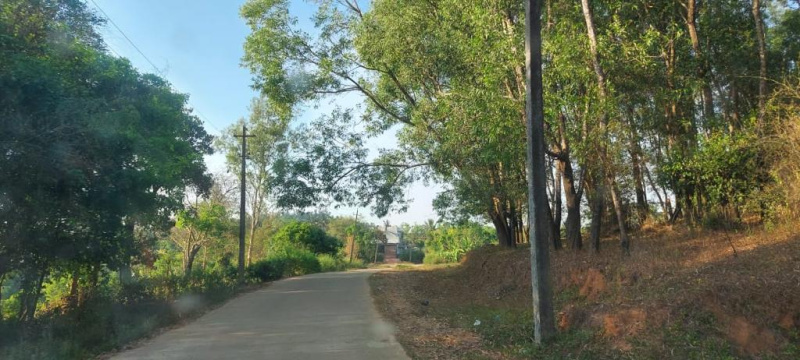 8 acre coffee plantation with house for sale in sakleshpura