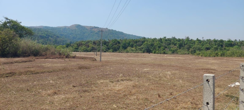 2 acre land with 2 cottages for sale in Mudigere