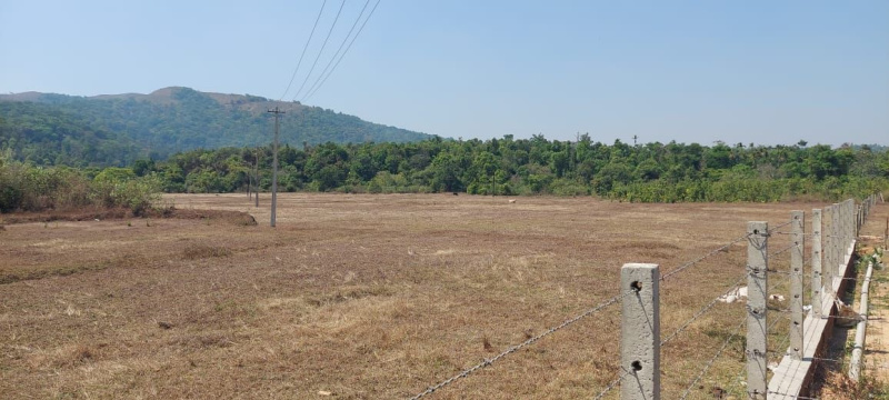 2 acre land with 2 cottages for sale in Mudigere