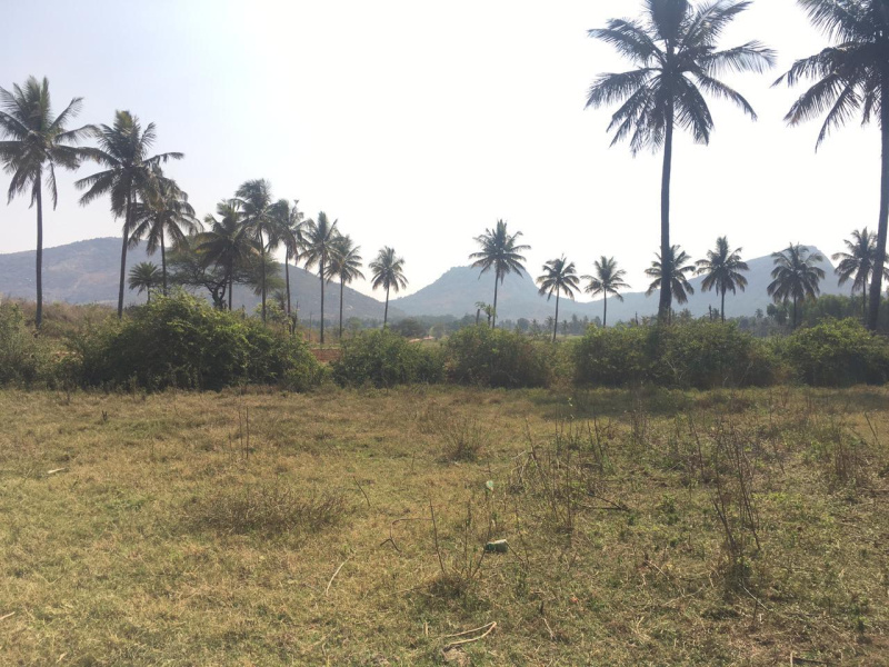1 acre 23 Guntas Farm Land with Nandhi Hills View.