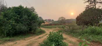 20 acre well maintained coffee pepper and Areca plantation for sale inbetween Mudigere -sakleshpura