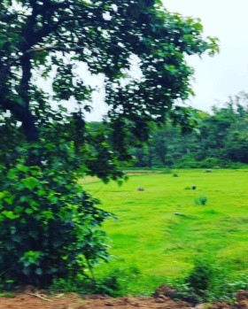4 acre land for sale in Mudigere
