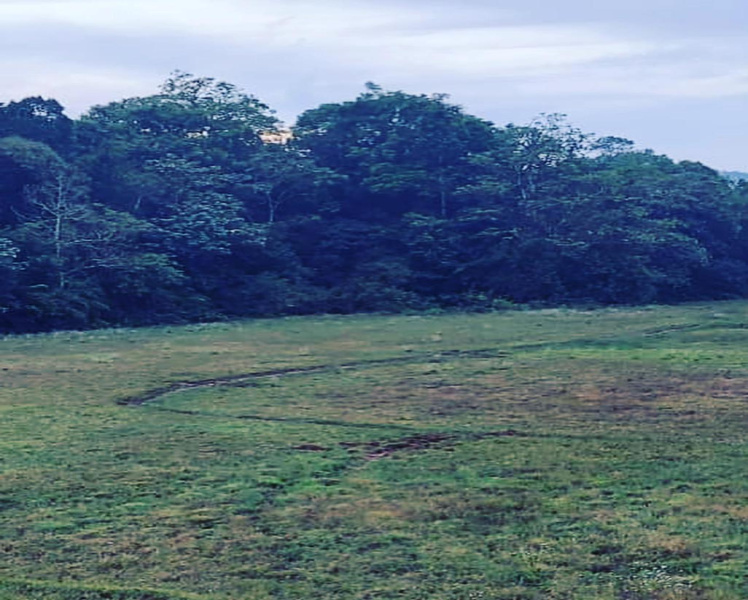 4 acre land for sale in Mudigere