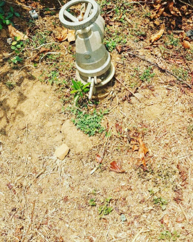 30 acre well maintained plantation for sale in Hassan
