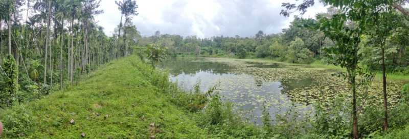 101 acre well maintained coffee estate for sale in belur taluk
