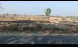 3 Acre Agricultural/Farm Land for Sale in Mallandur Road, Chikmagalur