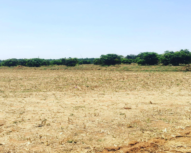 20 Guntas Land for Sale. Just 1km from Doddabalapura Dabaspet