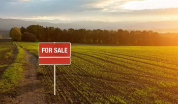 8 acre land for sale near Chikkamgaluru city