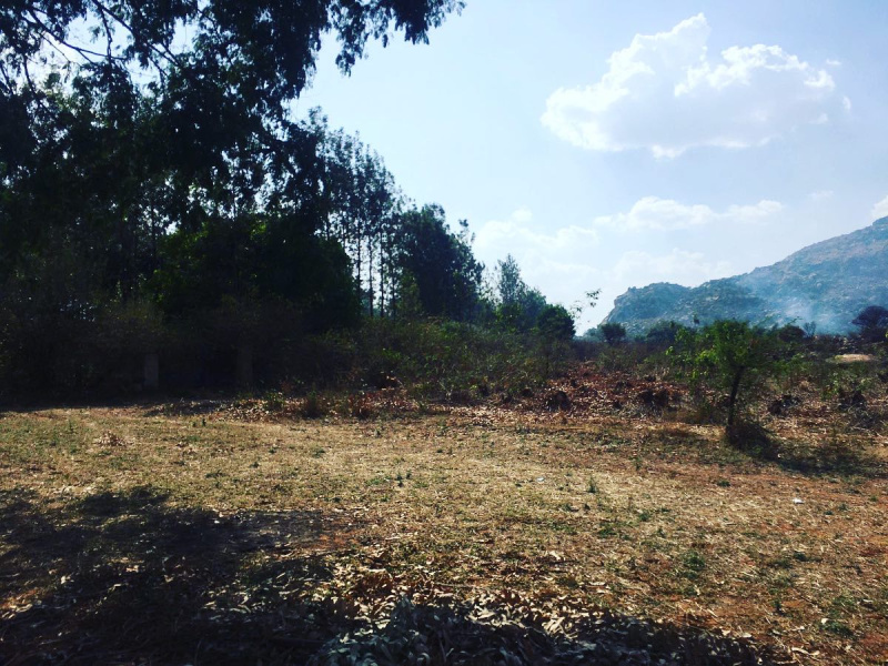 4.13 acre land for sale in Bangalore rural