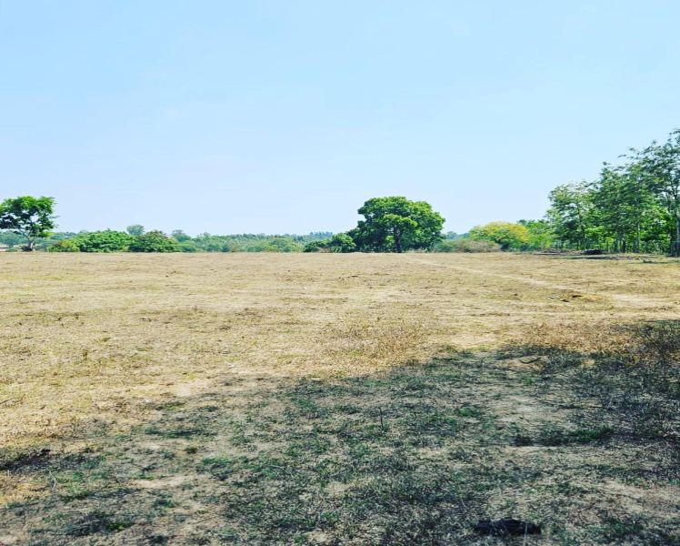 2 acre land for sale in Belur - Hassan