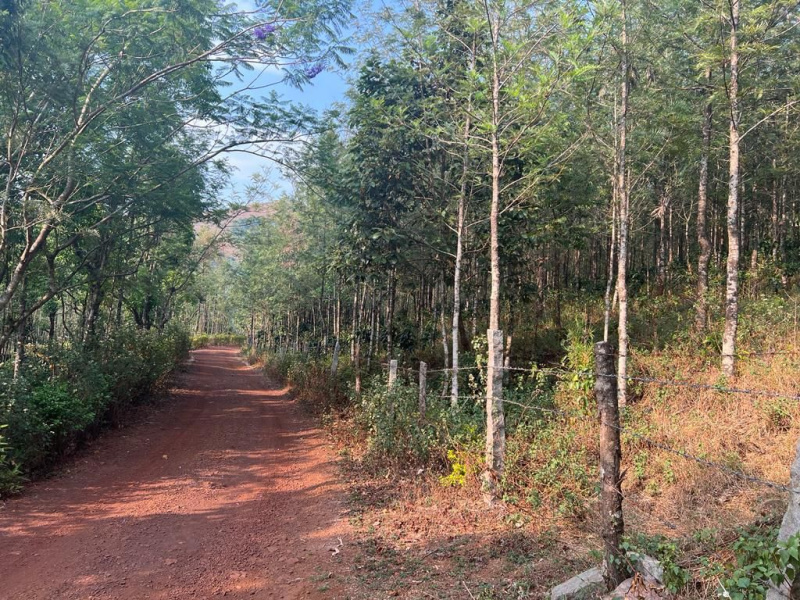 2 acres of a scenic land for sale in Giri area  Chikkamagaluru