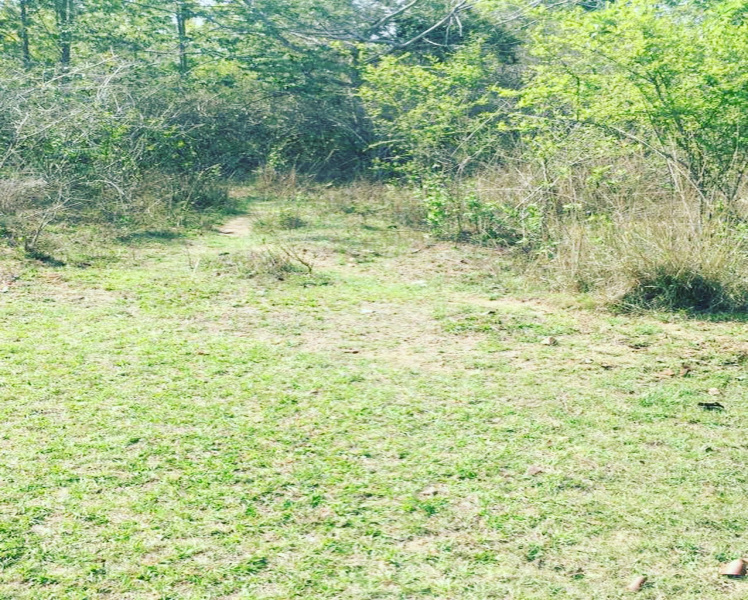 4.5 acre land for sale near KR pete - Chikkamgaluru