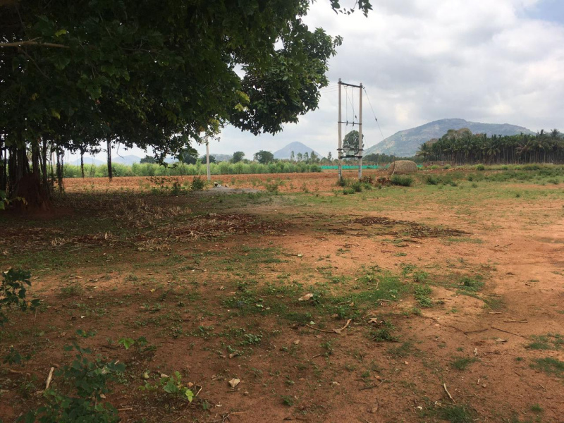 Small farm land for sale near Nandi Hills