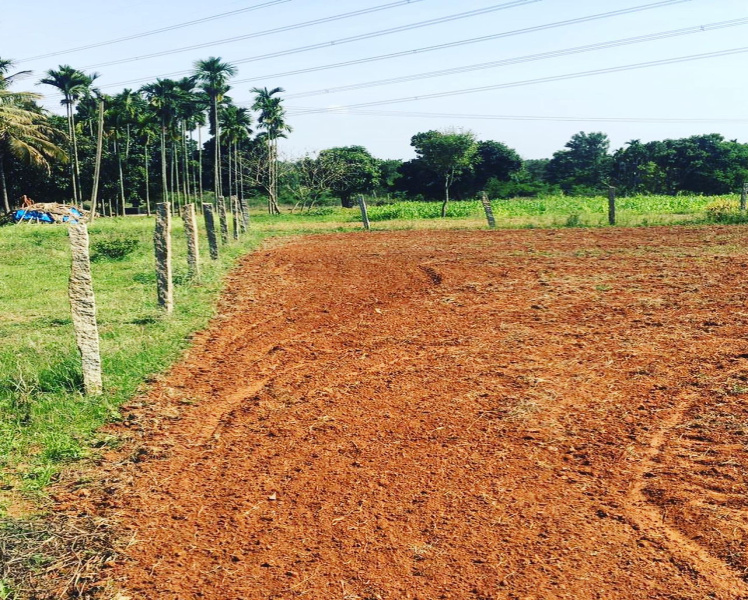1 Acre Farm Land for Sale in Doddballapura