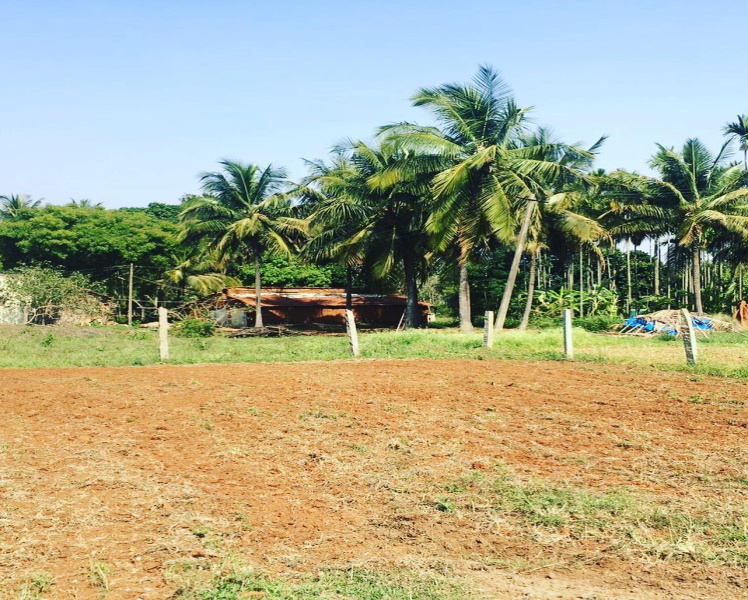 1 Acre Farm Land for Sale in Doddballapura