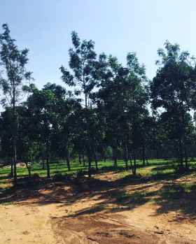 1 acre 10 Guntas Farm Land for Sale with Beautiful Hill View in Doddballapura
