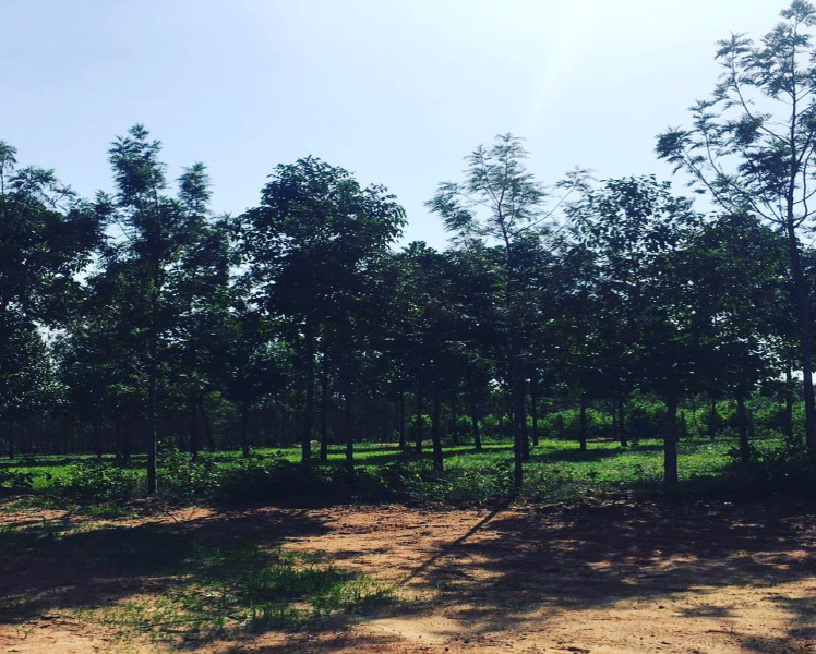 1 acre 10 Guntas Farm Land for Sale with Beautiful Hill View in Doddballapura