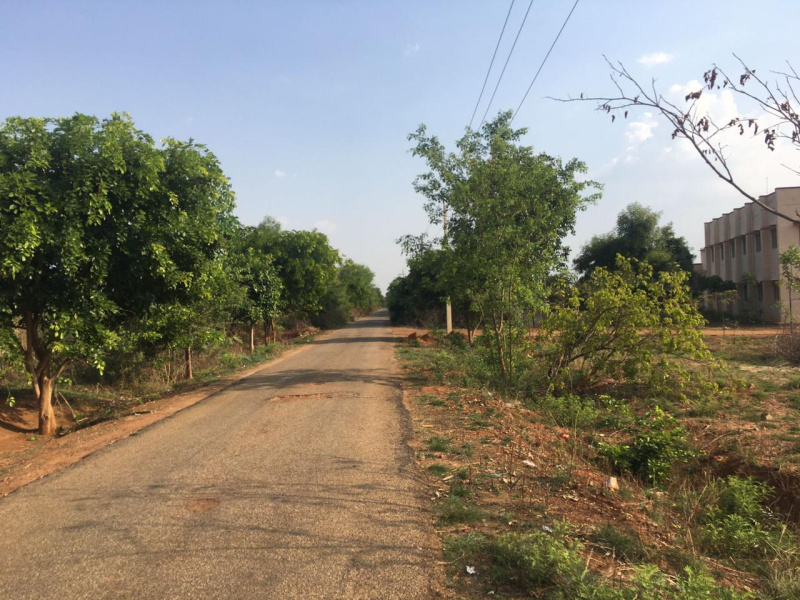 4 acres 5 Guntas farm land for sale in Gowribidanur town