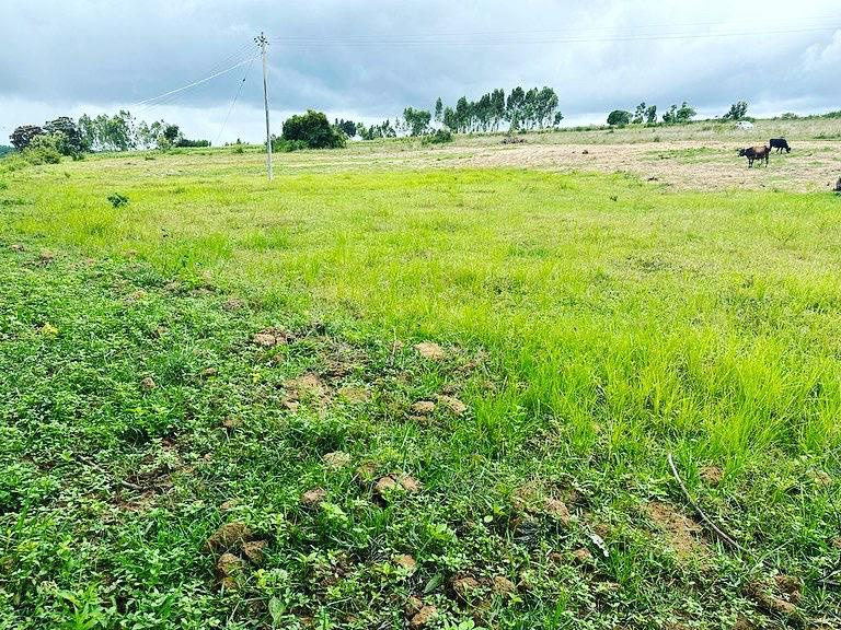 2.21 Acre Agricultural/Farm Land for Sale in Belur Hassan, Hassan