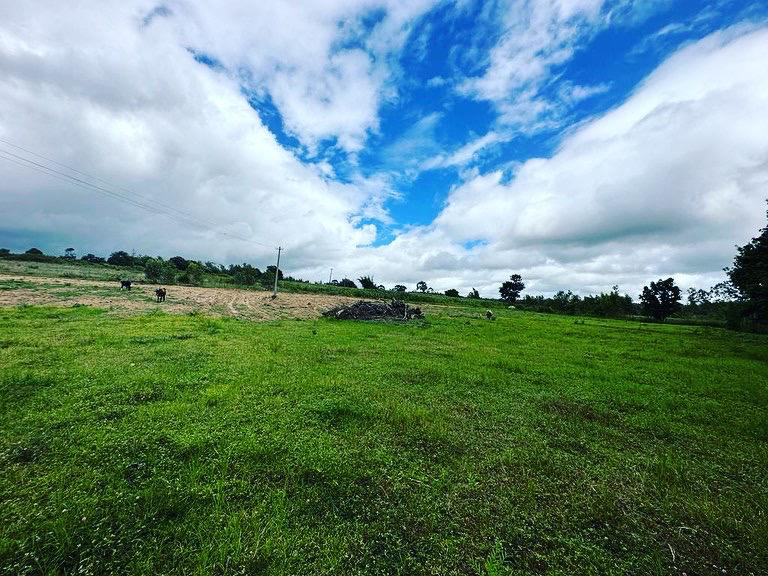 2 Acre Agricultural/Farm Land for Sale in Belur Hassan, Hassan