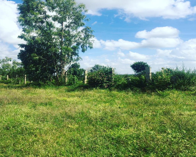 1 acre 4 Gunta land for sale in Doddballapura
