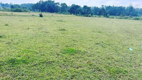 7 acre plain land for sale in Belur