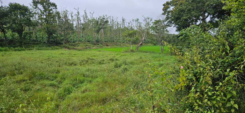 5.5 acre agri land for sale near Palya - Alur taluk Hassan dist