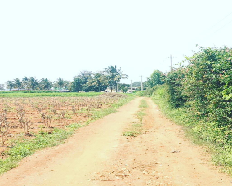 1 Acre Farm land For Sale just 3 km from Nandhi Hills Foot steps.