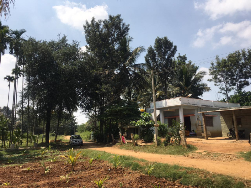 1 Acre 7 Guntas land for Sale in Doddabalapura. Bengaluru rural