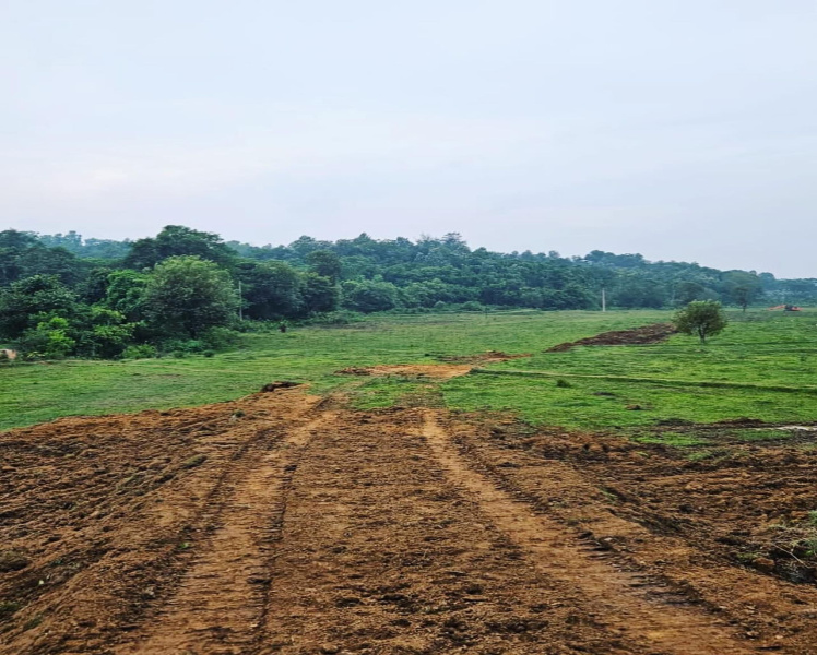8 acre agriculture land for sale in Hassan