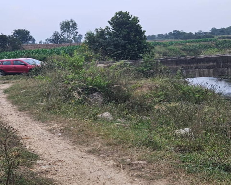 3 acre 5 Gunta agri land for sale in Belur Hassan district