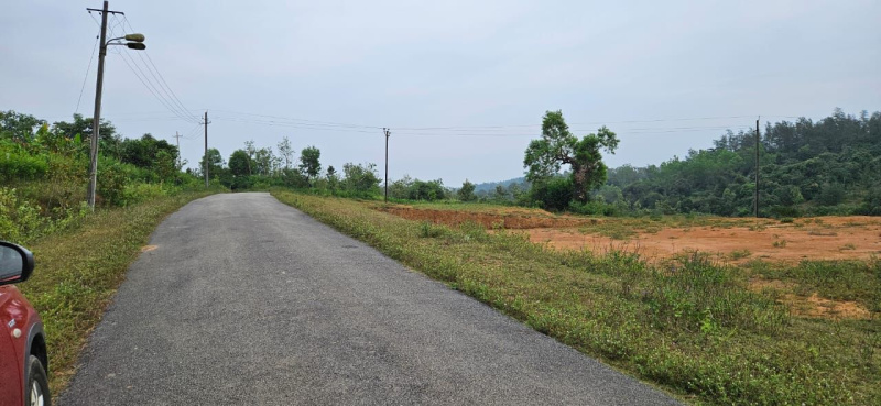 6 acre plantation for sale in Sakleshpura