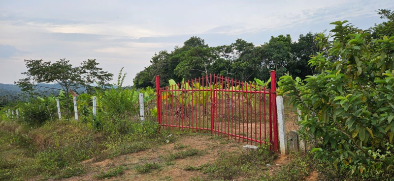 6 acre plantation for sale in Sakleshpura