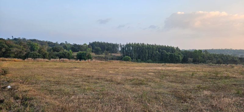 1 acre 20 Gunta agricultural land for sale in Belur