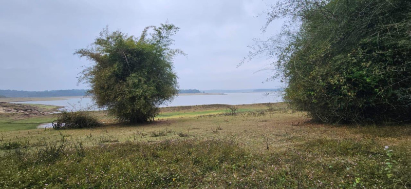 25 acre Dam back water attached estate for sale